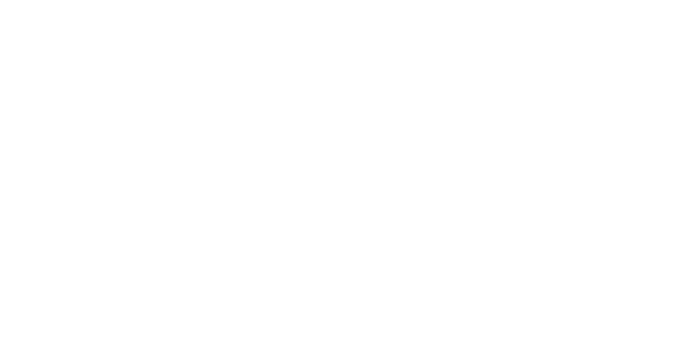 村Cafe やどり木